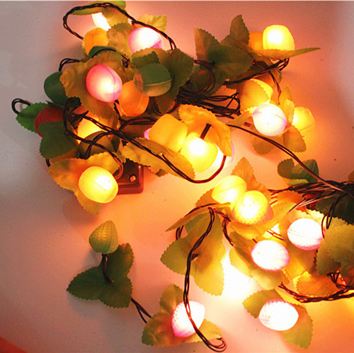 圣诞新年装饰LED彩灯串灯圣诞节彩灯 装饰灯节日灯礼品灯/水果灯