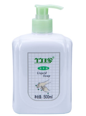国珍500ml正品清洁洗手液