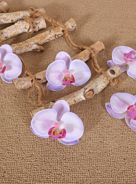 紫色单只蝴蝶兰花头仿真花伴手礼盒子DIY花瓣装饰搭配高品质花朵