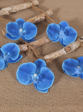 宝蓝色浅蓝色PU手感仿真蝴蝶兰花头鞋子帽子装饰搭配高品质假花朵