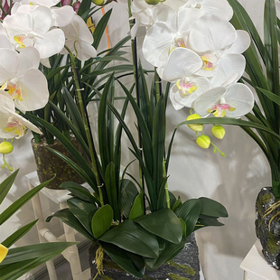 手感PU软胶把束蕙兰叶仿真花蝴蝶兰花叶插花搭配长枝剑兰叶假绿叶