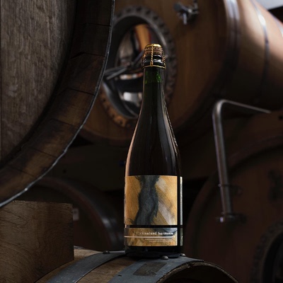 丹麦 洞藏 莱茵和弦/魔羊先生/夏日果园 野菌艾尔 洞见