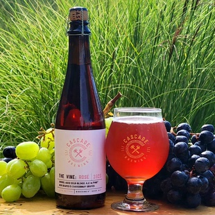 酸厂|美国卡斯卡特 小恶魔/海岸古斯/克里克 500ML 酸啤 精酿啤酒