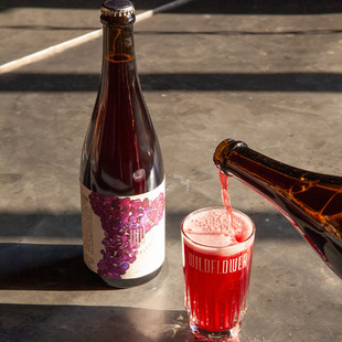 酸厂|澳大利亚 岸花 圣./佛伦/艾比盖/沃尔特 野菌艾尔 精酿啤酒