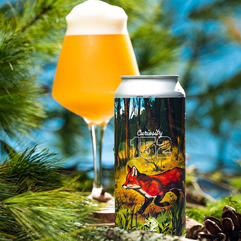 新日期美国树屋IPA精酿啤酒