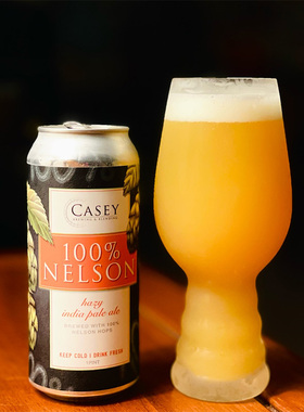 酸厂|美国 凯西 百分百尼尔森/皮尔森/追忆似水年华 罐装精酿啤酒