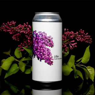 酸厂|美国费登斯 热情澎湃/佳酿记忆/迷雾之下/纬卡 IPA 精酿啤酒