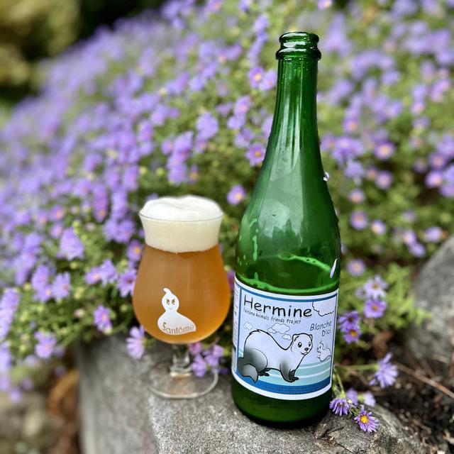 比利时幽灵橙子精灵精酿啤酒