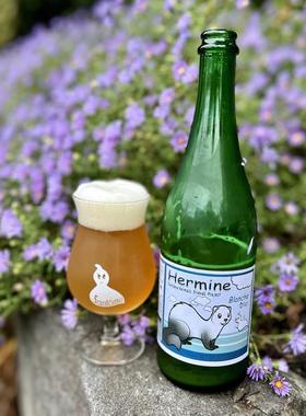 酸厂|比利时 幽灵 橙子精灵/暗黑精灵/秋灵 塞松 750ml 精酿啤酒