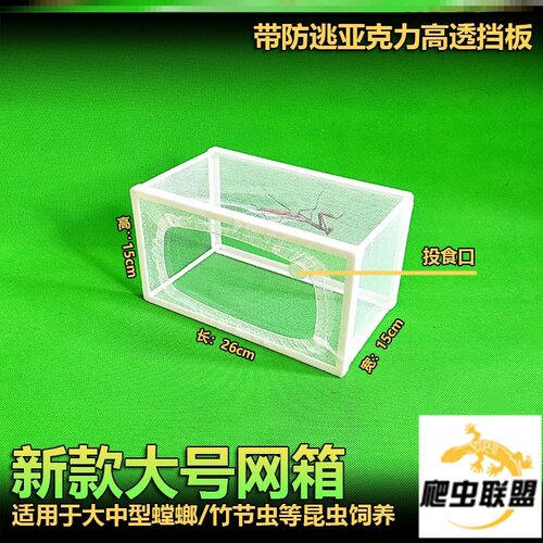包邮螳螂饲养网箱竹节虫卵鞘孵化