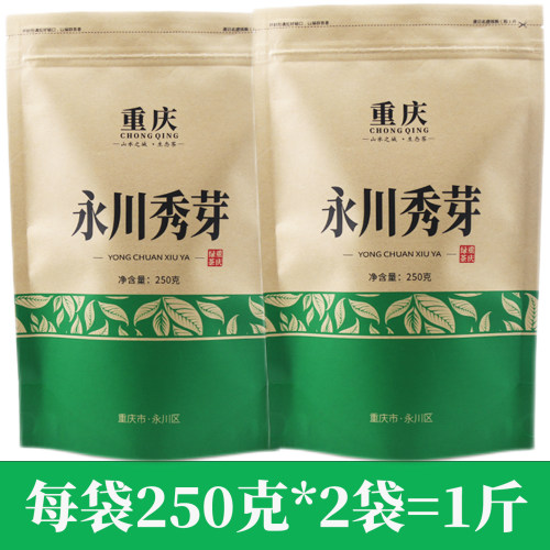 2026新茶永川秀芽特级明前茶500g