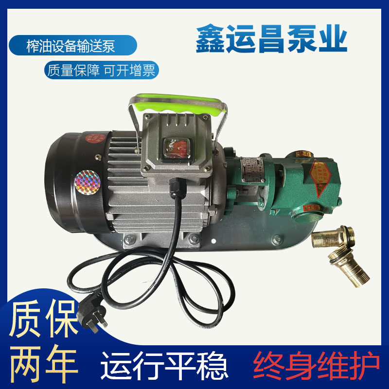 wcb手提泵便携式220v齿轮