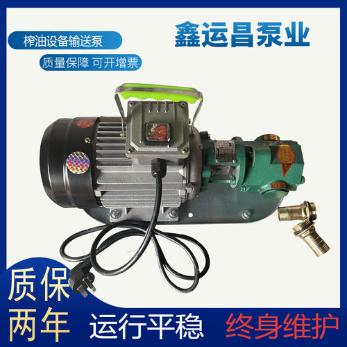 wcb手提泵便携式220v齿轮