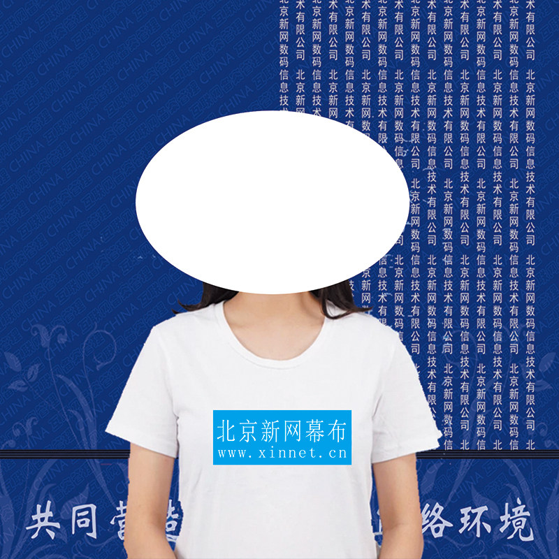 北京新网数码信息科技有限公司 其它