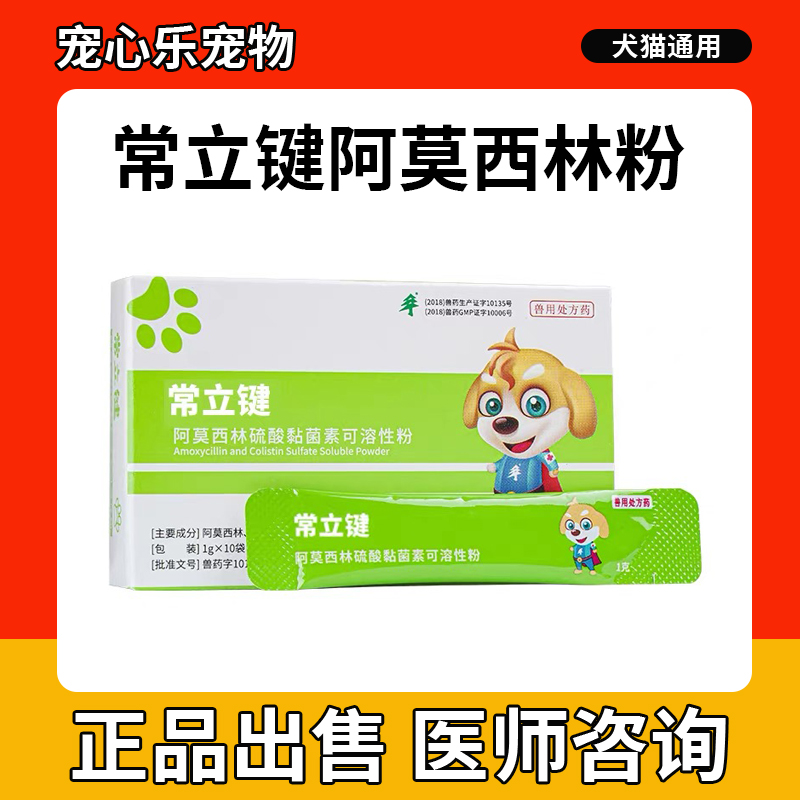 常立键阿莫西林粉宠物口服抗菌消炎猫鼻支口肠胃炎狗感冒咳嗽鼻涕