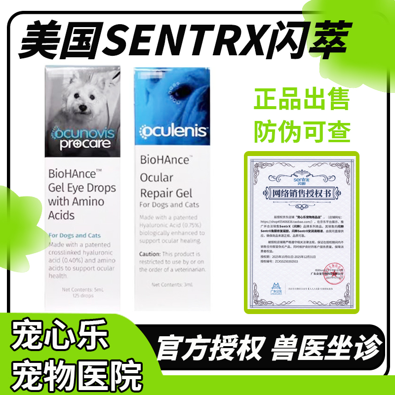 美国Sentrx闪萃凝胶角膜修复猫咪腐骨狗狗干眼症犬猫用闪粹滴眼液