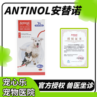 新西兰进口安它诺Antinol安替诺277安适得宠物鱼油软骨素猫狗关节