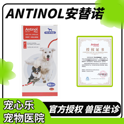 新西兰进口安它诺Antinol安替诺277安适得宠物鱼油软骨素猫狗关节
