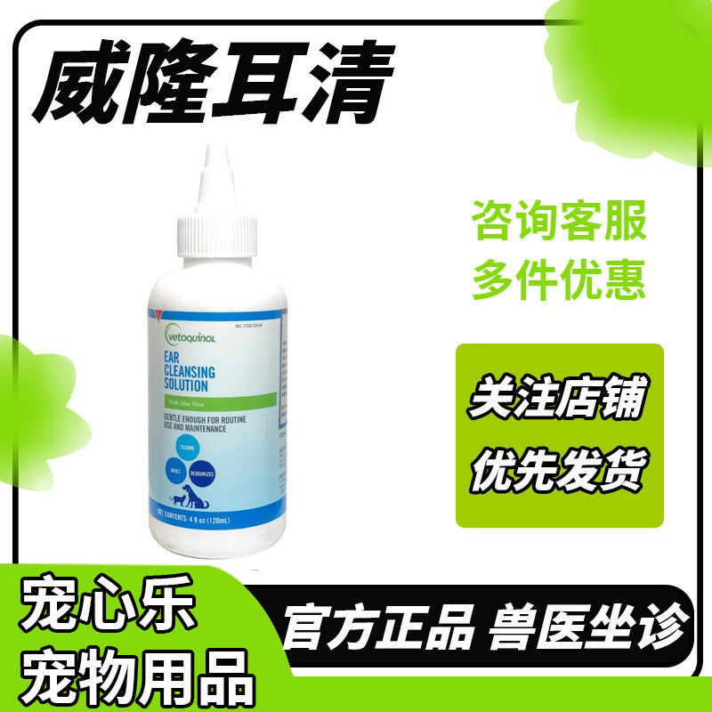 威隆法国耳清猫咪宠物狗狗图片