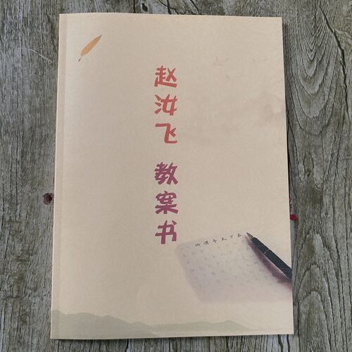 赵汝飞练字教程教案快速练字写好字中小学生成人练字