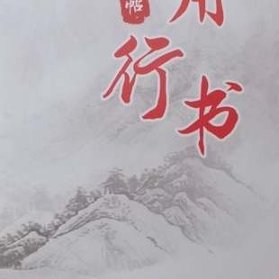 抖音同款实用行书一字多写练字帖1119个字每三种写法+22篇文章