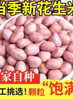 【生食甘甜】现剥5斤白沙花生米精选粉皮新鲜生花生米无壳批发价