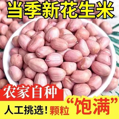 5斤白沙花生米精选粉皮新鲜花生