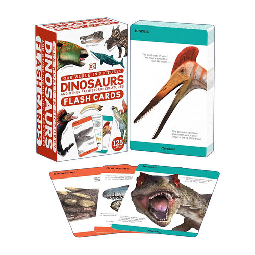 英文原版 Our World in Pictures Dinosaur Flash Cards 恐龙闪卡 DK儿童科普百科 英文版 进口英语原版书籍