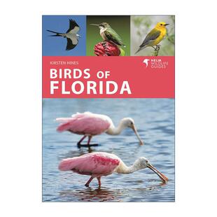 英文原版 Birds of Florida 北美佛罗里达州鸟类图鉴 英文版 进口英语原版书籍
