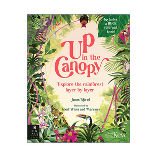 英文原版 Up in the Canopy 树冠上的风景 逐层探索雨林 邱园英国皇家植物园联合出版 儿童精装科普百科绘本 进口英语原版书籍