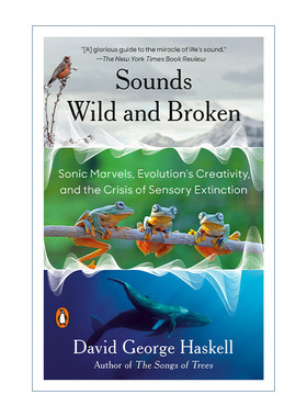 英文原版 Sounds Wild and Broken 荒野之声 地球音乐的繁盛和寂灭 2023普利策奖入围 David George Haskell 英文版 进口英语原版