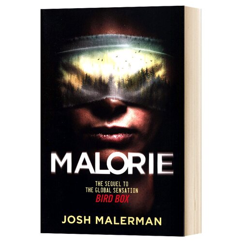 蒙上你的眼2 Malorie Bird Box 2 网飞科幻剧集 Josh Malerman 英文原版小说 进口英语书籍