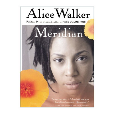 Meridian 梅丽迪安 女性主义小说 普利策奖和美国国家图书奖得主艾丽斯沃克Alice Walker