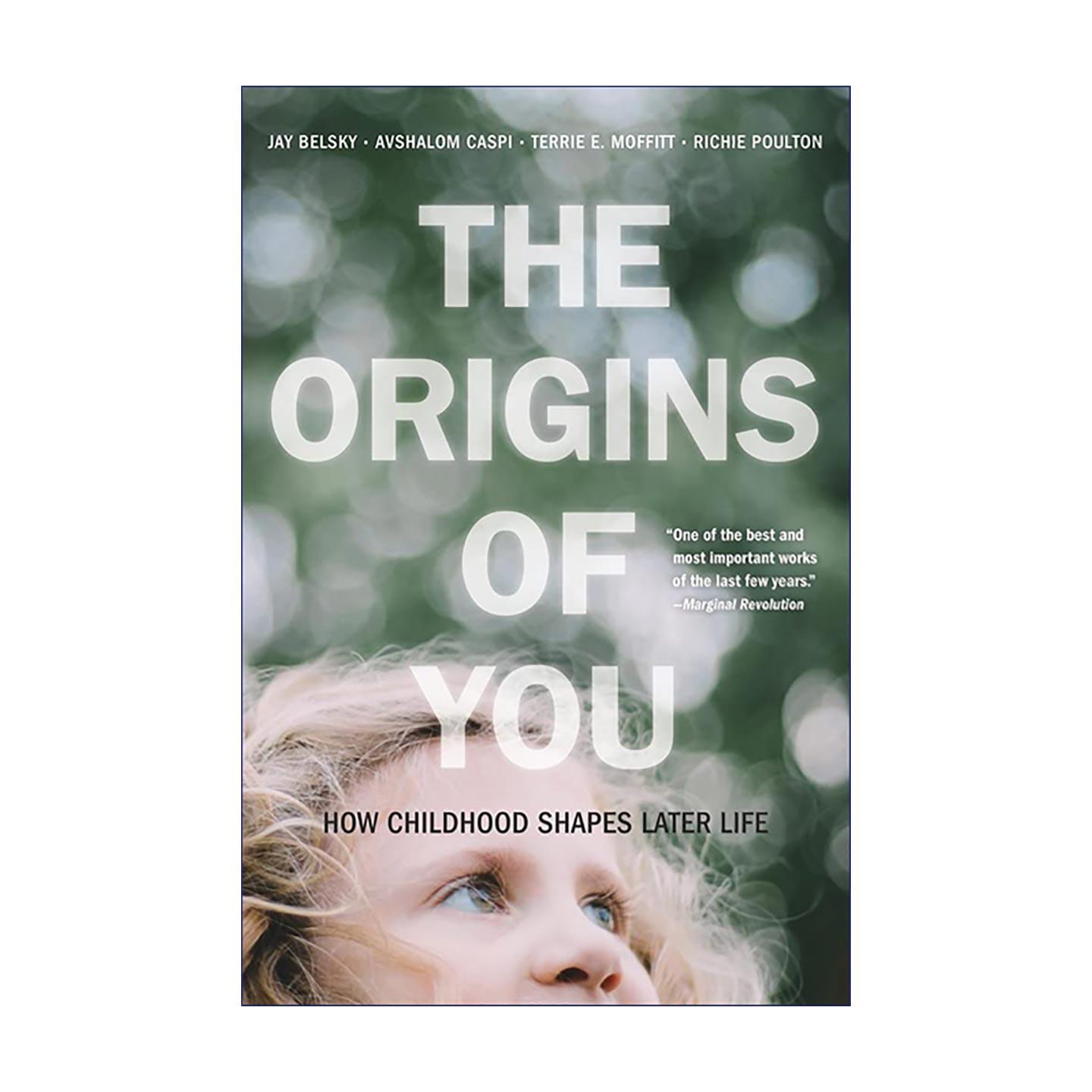 英文原版 The Origins of You 童年观察 影响人一生行为和情感的心理学逻辑 Jay Belsky 英文版 进口英语原版书籍