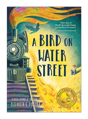 英文原版 A Bird on Water Street 水街上的鸟儿 绿色地球图书奖 儿童历史小说 伊丽莎白·O.杜兰巴 英文版 进口英语原版书籍