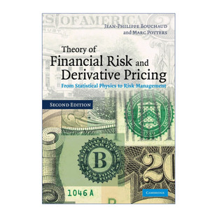 英文原版 Theory of Financial Risk and Derivative Pricing 金融风险和衍生证券定价理论 Jean-Philippe Bouchaud 英文版
