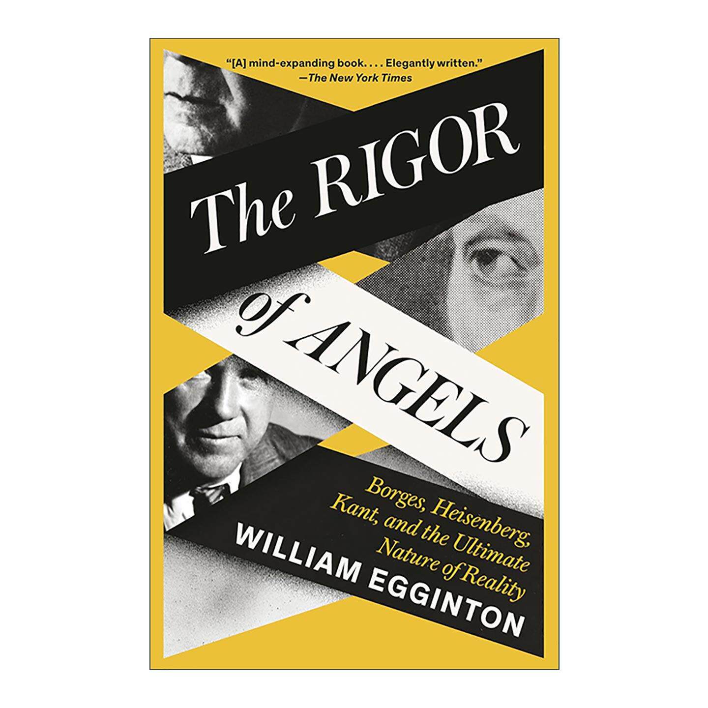 英文原版 The Rigor of Angels 天使的严谨 博尔赫斯 海森堡 康德与现实的本质 哲学 传记 William Egginton 进口英语原版书籍