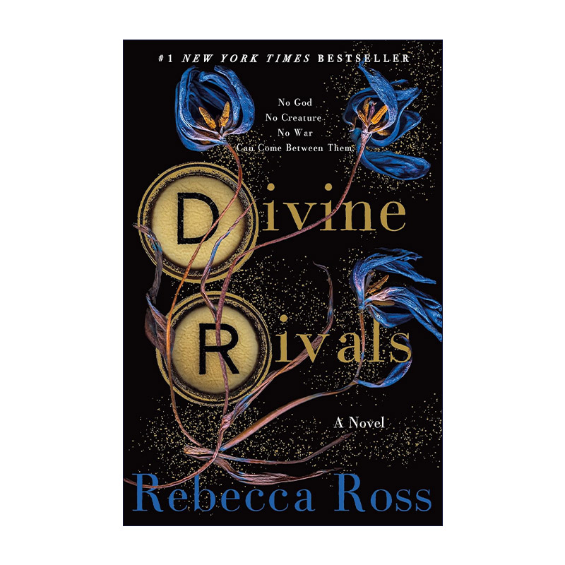 英文原版 Divine Rivals 神圣对手 魔法信件 精装 丽贝卡·罗斯战时奇幻爱情小说 英文版 进口英语原版书籍