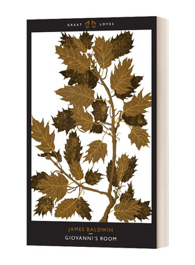 Giovanni's Room 乔凡尼的房间 James Baldwin詹姆斯·鲍德温 英文原版文学小说 进口英语书籍