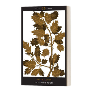 乔凡尼 房间 文学小说 进口英语书籍 英文原版 Room Baldwin詹姆斯·鲍德温 Giovanni James