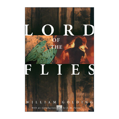 英文原版 Lord of the Flies 蝇王 威廉·戈尔丁 英文版 进口英语原版书籍