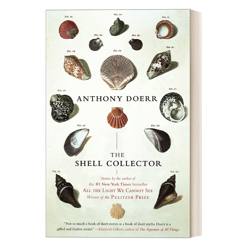 The Shell Collector 拾贝人 安东尼 多尔 书籍/杂志/报纸 文学类原版书 原图主图