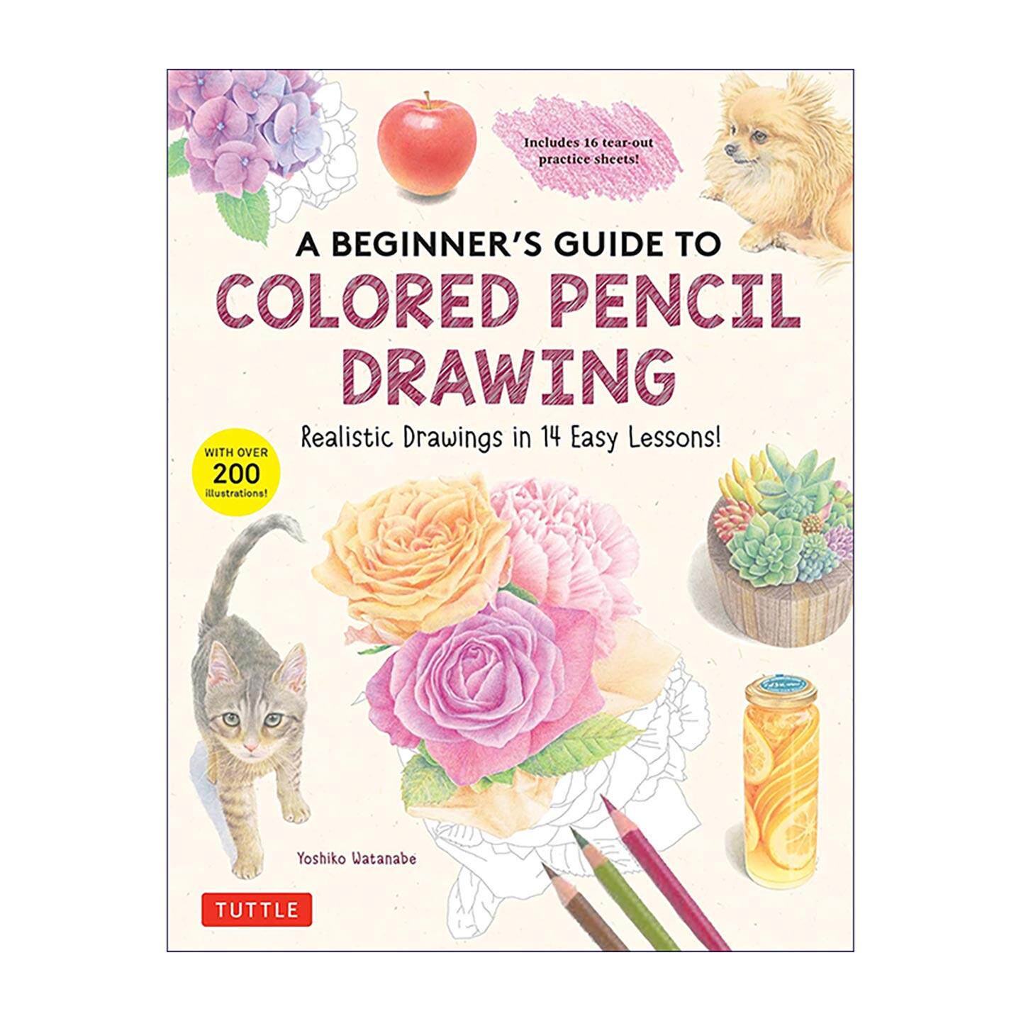 英文原版 A Beginner's Guide to Colored Pencil Drawing 彩色铅笔画初学者指南 Tuttle绘画技法 英文版 进口英语原版书籍