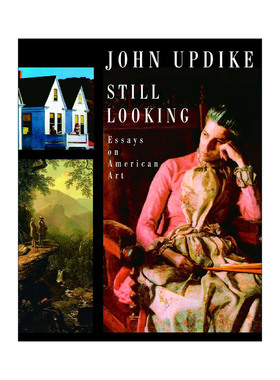 英文原版 Still Looking 仍在寻找 美国艺术论文集 绘画批评 普利策奖得主John Updike约翰·厄普代克 精 英文版进口英语原版书籍