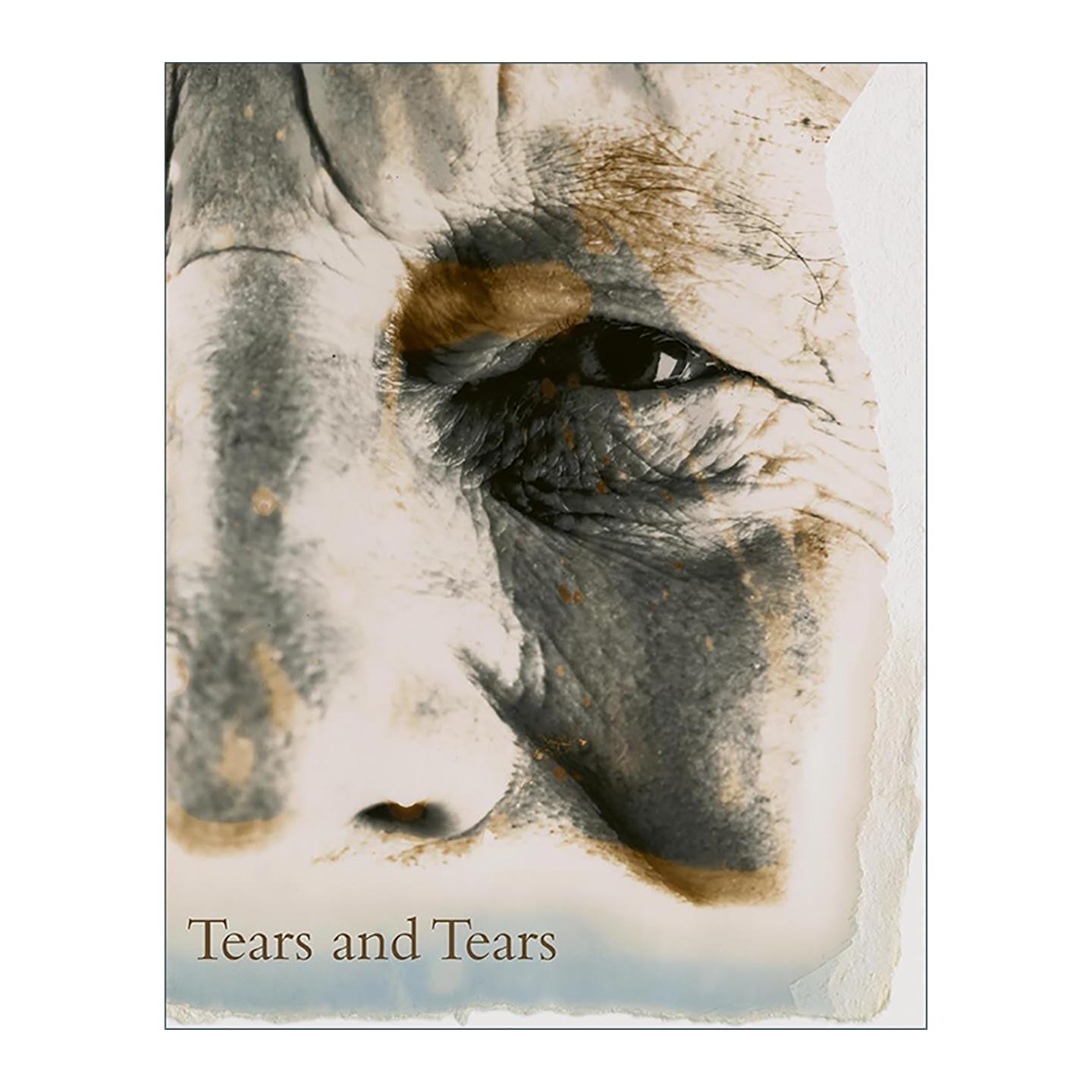 英文原版 David Bailey Tears and Tears 大卫·贝利 撕裂 摄影画册作品集精装 英文版 进口英语原版书籍