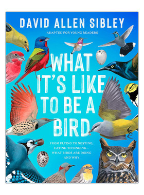 英文原版 What It's Like to Be a Bird Adapted for Young Readers 何以为鸟 西布利的鸟类世界 青少年版 观鸟指南 自然科普百科