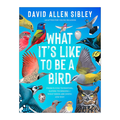 英文原版 What It's Like to Be a Bird Adapted for Young Readers 何以为鸟 西布利的鸟类世界 青少年版 观鸟指南 自然科普百科
