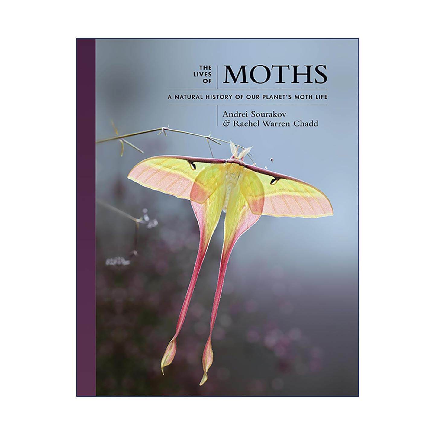 英文原版 The Lives of Moths 飞蛾 被低估的鳞翅目 自然史 安德烈·索拉科夫 普林斯顿 精装 英文版 进口英语原版书籍