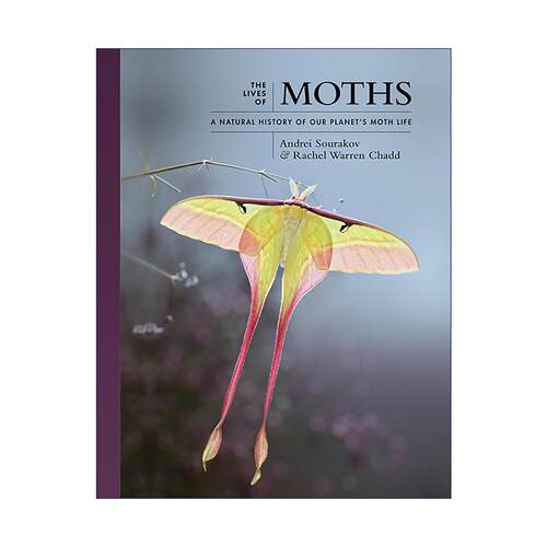 英文原版 The Lives of Moths 飞蛾 被低估的鳞翅目 自然史 安德烈·索拉科夫 普林斯顿 精装 英文版 进口英语原版书籍