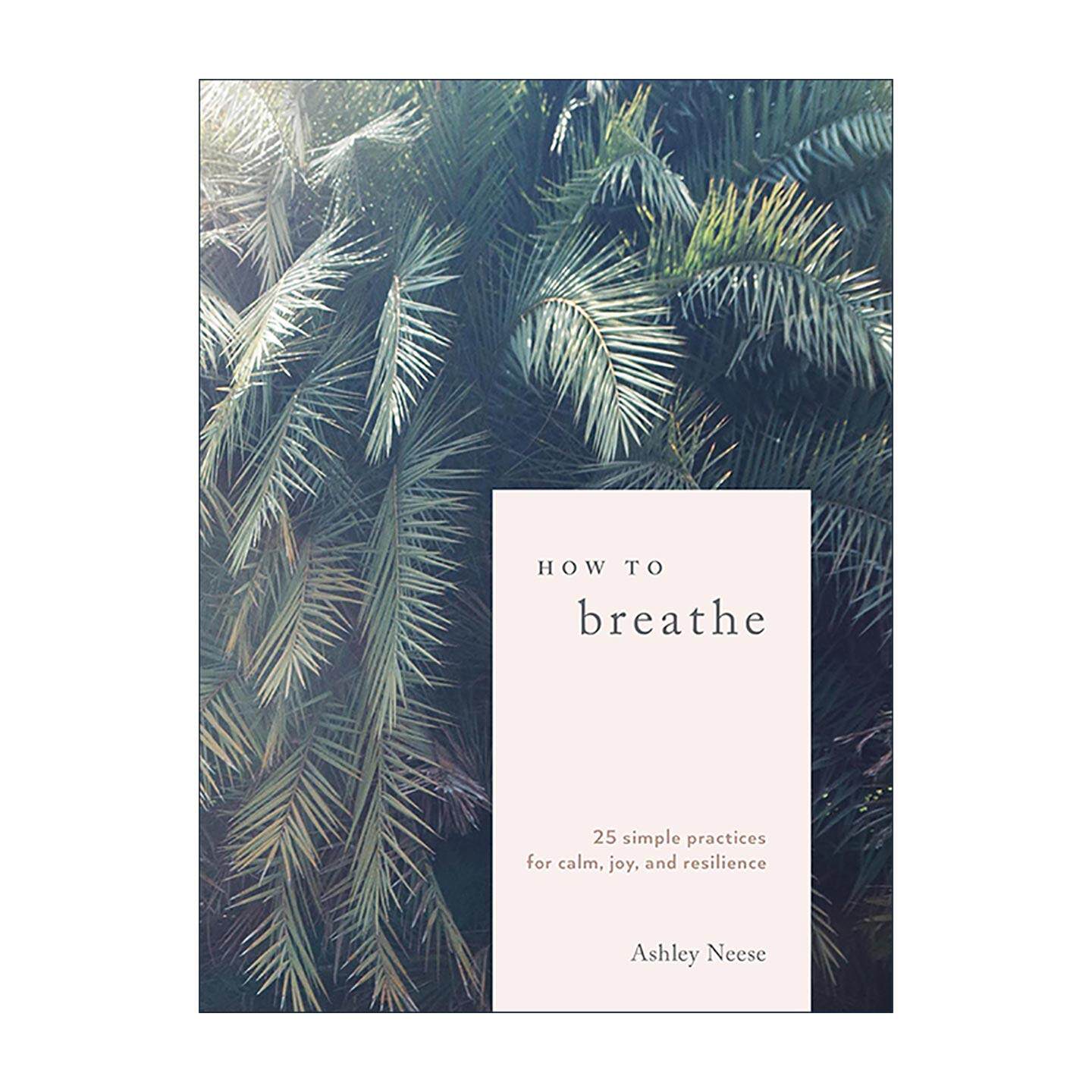 英文原版 How to Breathe 如何呼吸 25个让你平静 快乐和恢复的简单练习 正念冥想指南 精装 英文版 进口英语原版书籍